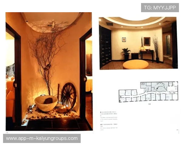 职业俱乐部管理文化差异与整合