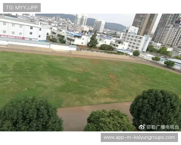 足球场馆噪音监测仪接入公众查询平台指南，足球场扰民怎么办